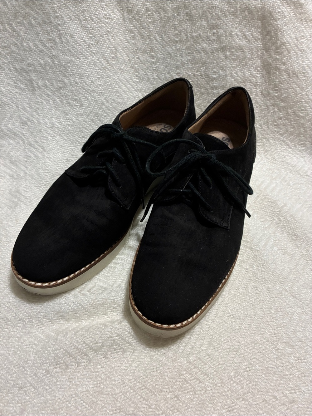 SoftWalk Black Suede Lace-Up Derby Shoes